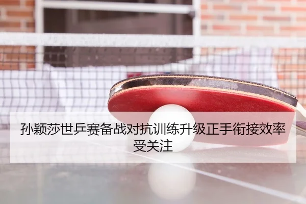 孙颖莎世乒赛备战对抗训练升级正手衔接效率受关注